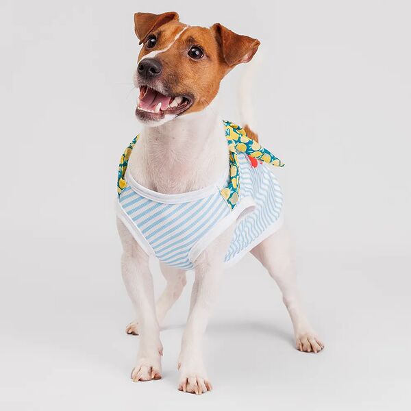 Футболка с галстуком для собак Cool, L, голубая