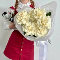 Изображение 3