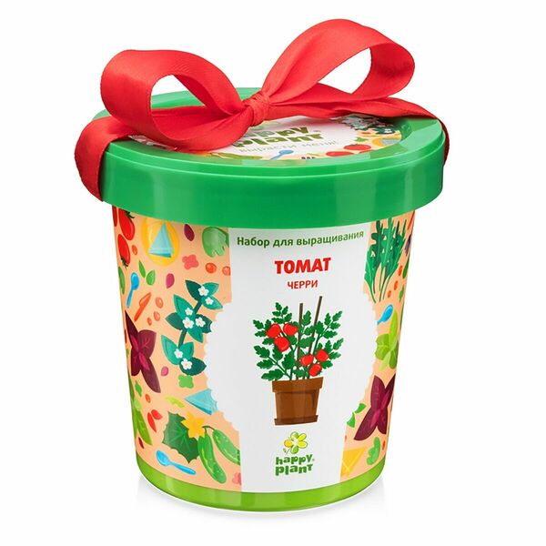 Happy Plant: Томат черри (1277830)