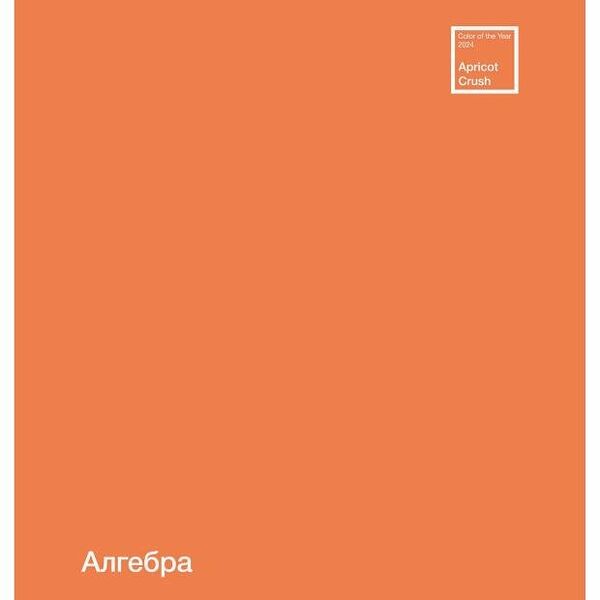 Тетрадь ПЗБМ предметная Алгебра клетка А5, 48 л