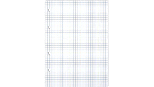 Сменный блок BG для тетрадей на кольцах А5 в клетку белого цвета 80 листов