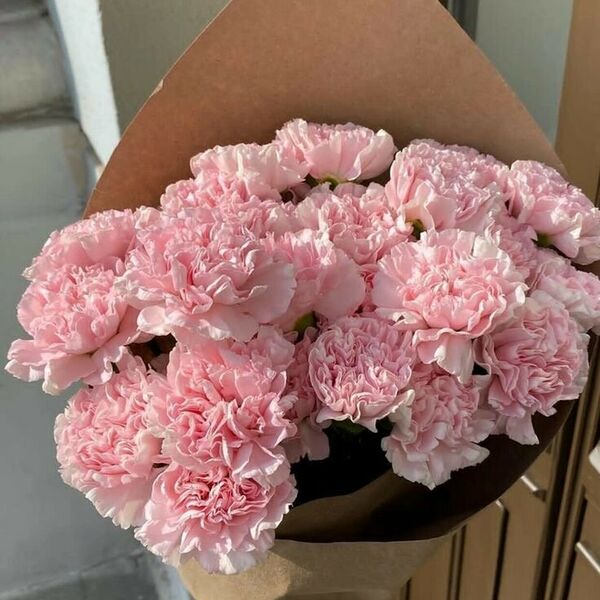 Букет из диантусов