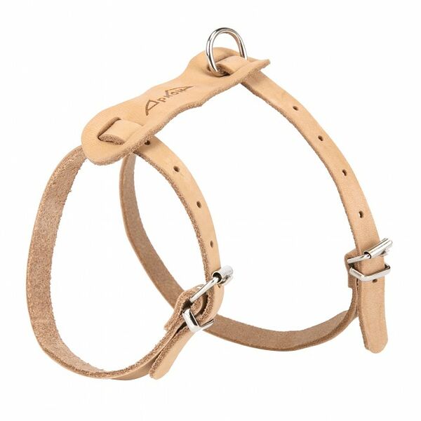 Шлейка Аркон Люкс для кошек и мелких собак 26-34 см/36-44 см