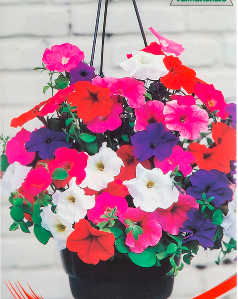 Семена Дом Семян, Петуния Балконная