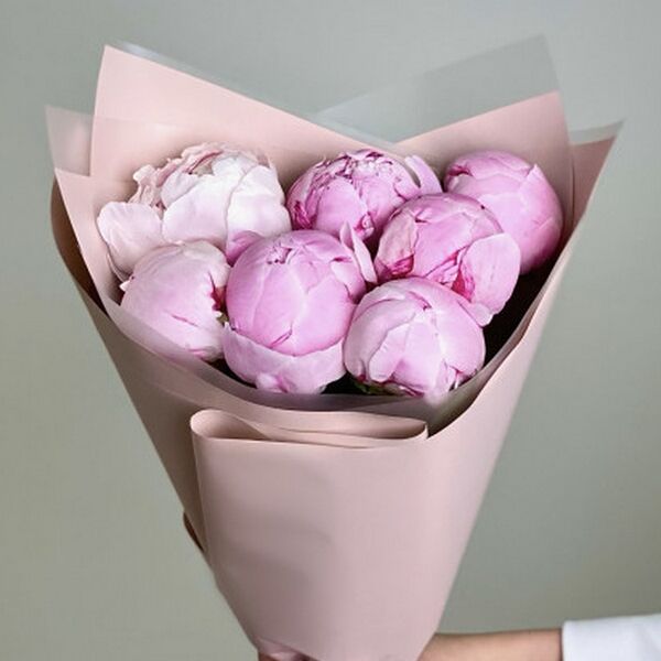 Букет из 7 розовых пионов