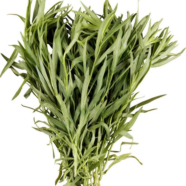 Тархун Глобус 50г