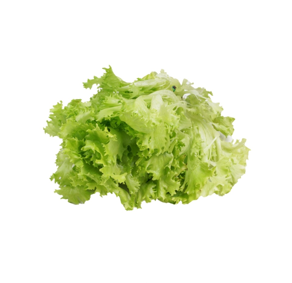 

Салат Фриссе iFarm в горшочке 80 г 1 шт.