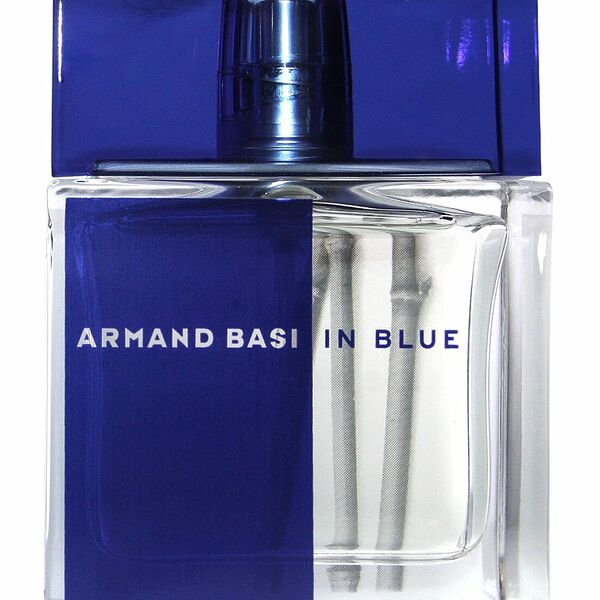 Туалетная вода мужская Armand Basi In Blue 50 мл