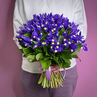 Изображение 2