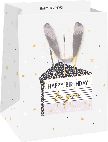 

Пакет подарочный Party 14х19х11 см, люкс в ассортименте 1 шт.