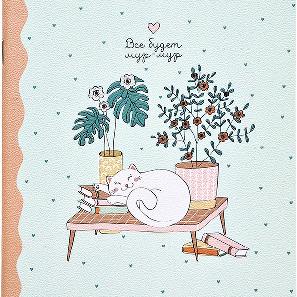 Тетрадь общая Mur-mur А5 48 листов в клетку ТМ BeSmart (БиСмарт)