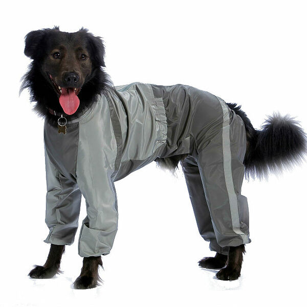 Комбинезон холодный для собак Пудель средний 2XL (мальчик)
