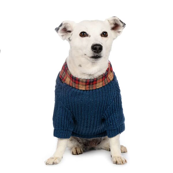 Свитер с пуговицами для собак 3XL голубой (унисекс)