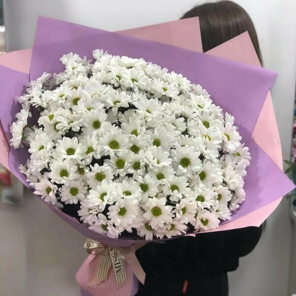 Хризантемная поляна