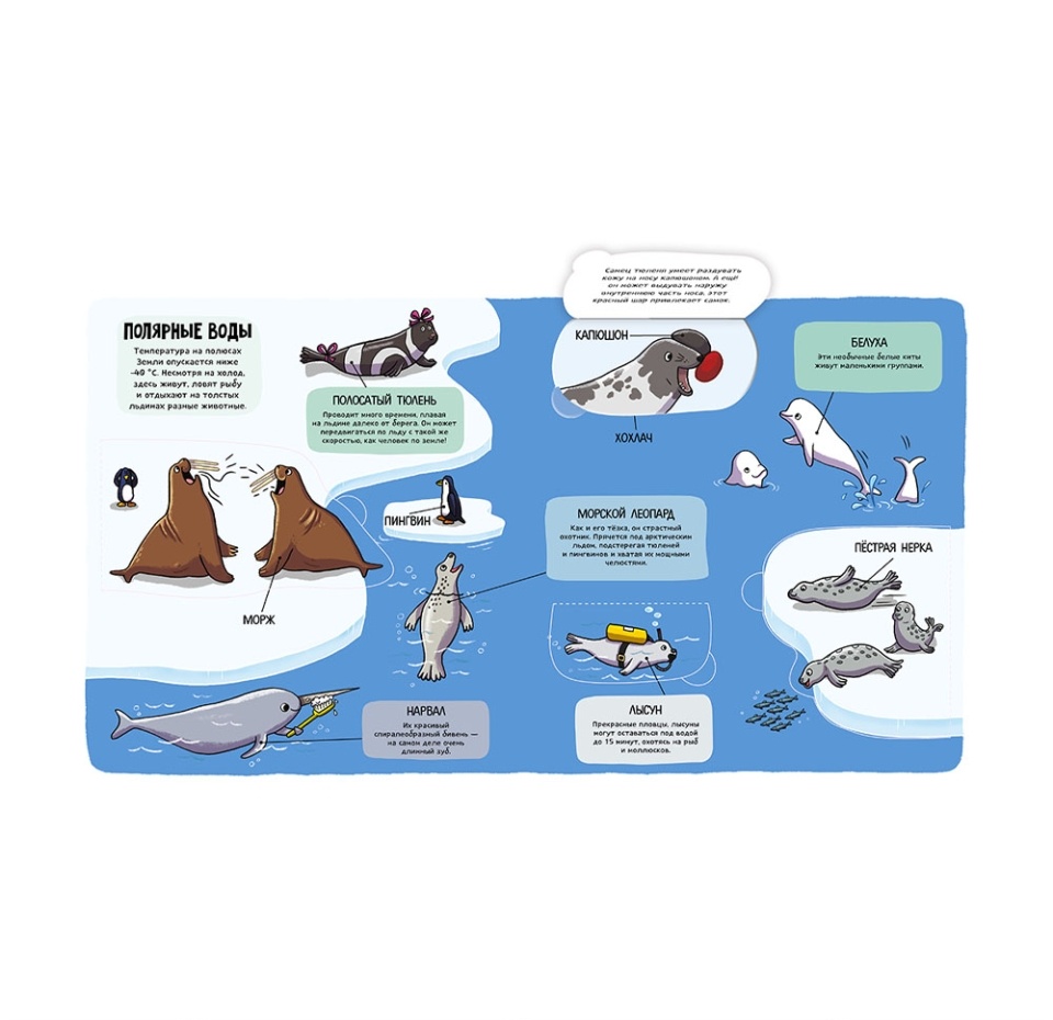 

Маленькие исследователи. Океаны и моря