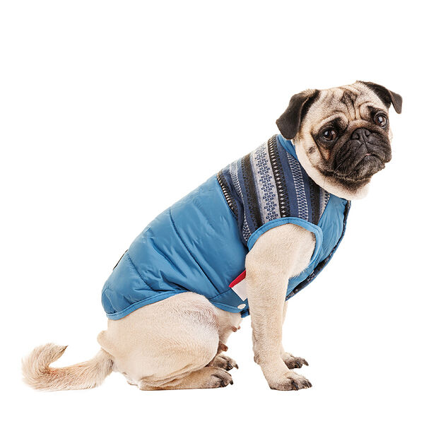 Куртка для собак XL синий (унисекс)