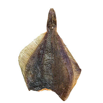 Камбала вяленая 15+ Россия