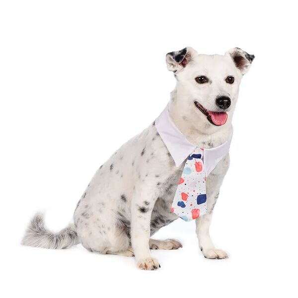 Галстук-бант с воротником белый с пятнами 2,5см*49см