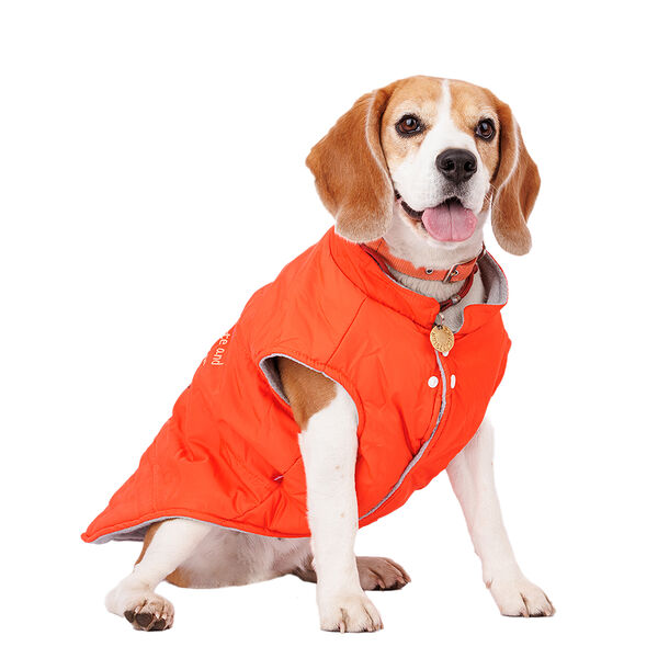 Куртка для собак 4XL оранжевый (унисекс)