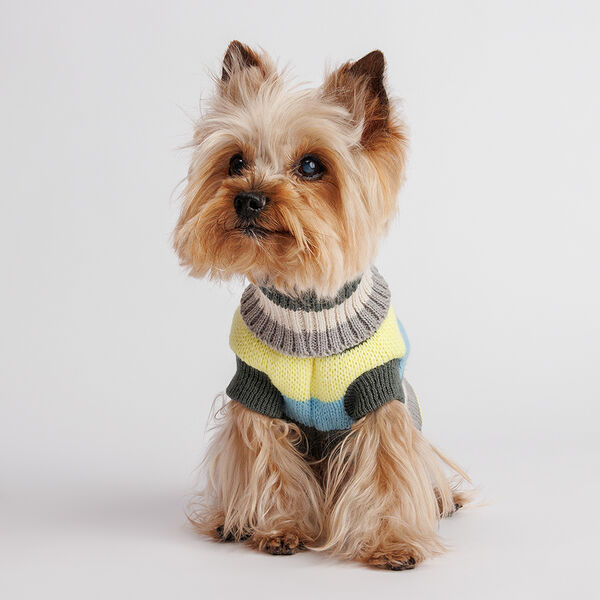 Свитер полосатый для кошек и собак, 25 см, желто-голубой