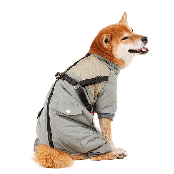 Комбинезон на молнии со шлейкой для собак 3XL зеленый (унисекс)