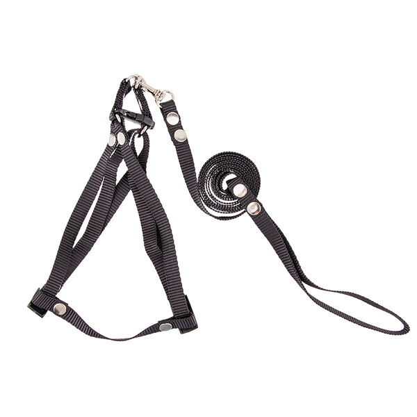 Шлейка+поводок для кошек и малых собак быстросъемная нейлон черный