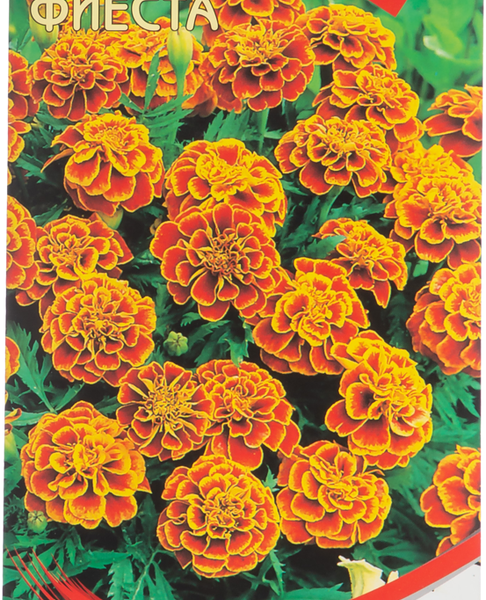 Семена  Бархатцы Фиеста отклонённые 1 г