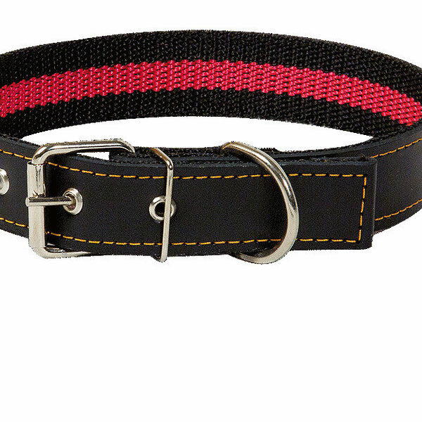 Ошейник для собак 46-66 см х 35 мм ТМ Зооник