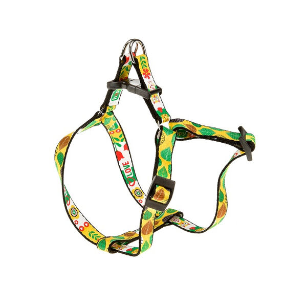 Шлейка для кошек и мелких собак Fantasia, 20-32 см, 10 мм