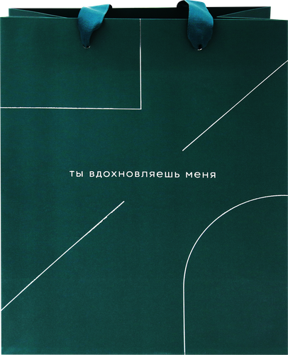 

Пакет подарочный MESHU Monocolor. Emerald, 18х23х10см, отделка фольгой, матовая ламинация