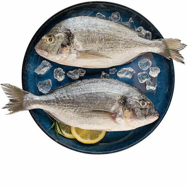 Дорадо охлаждённая