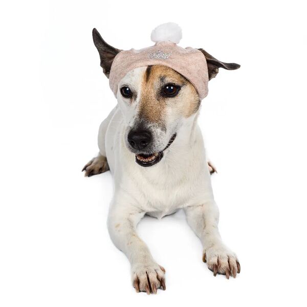 Шапочка зимняя универсальная для собак S пудровый (унисекс)