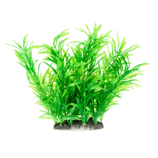 Растение зеленое 10*8*15см