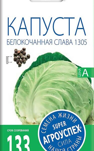 Семена Агроуспех Капуста белокочанная Слава 1305 0.5г