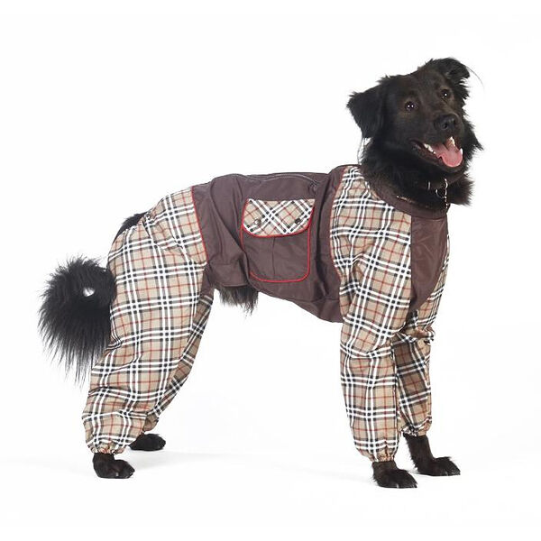 Комбинезон холодный для собак Американский кокер XL (девочка)