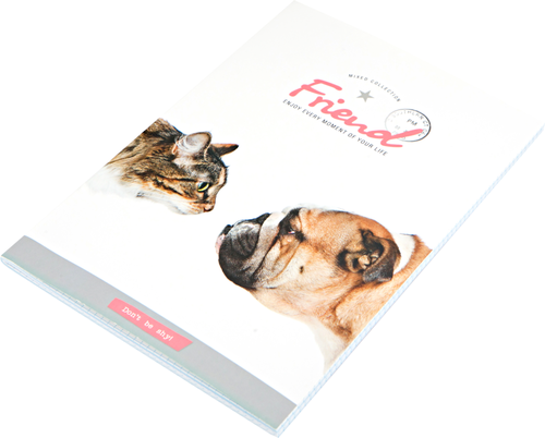 

Тетрадь Magic Lines Это Жизнь! Друзья А4 80 листов в клетку арт 28011/28042