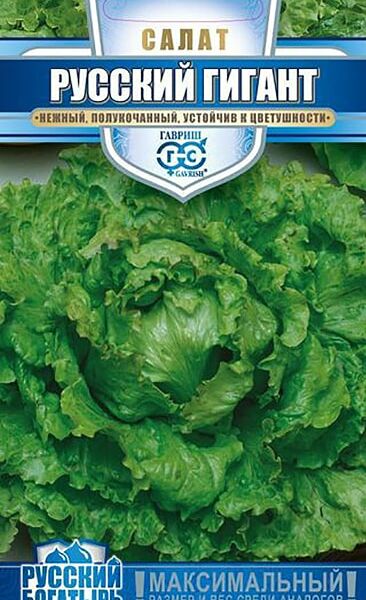 Семена Гавриш Салат Русский Гигант Русский богатырь 0.5г