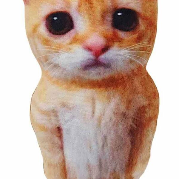 Игрушка мягкая Кот-мем, 28×15×6 см