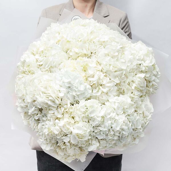 Букет из 25 белых гортензий