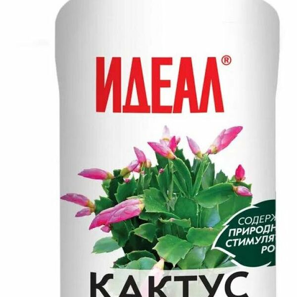 Удобрение специальное Идеал Кактус