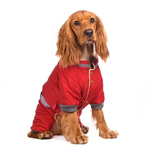 Комбинезон с поясом для собак 3XL красный (девочка)
