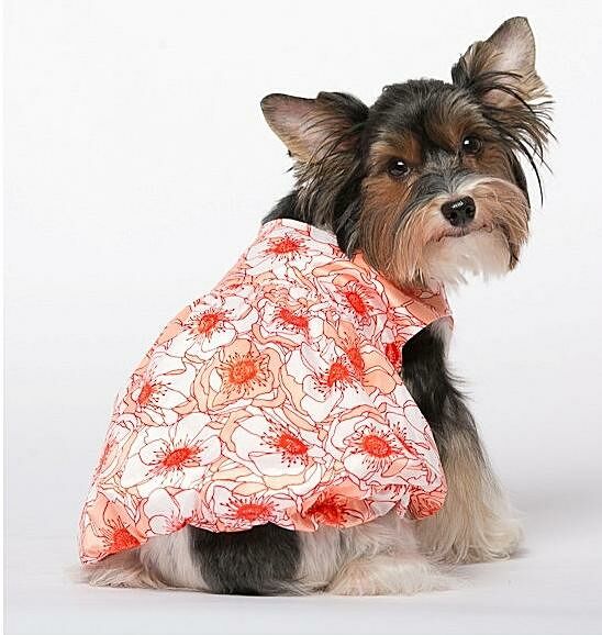 Платье для собак Французские мотивы S (девочка)