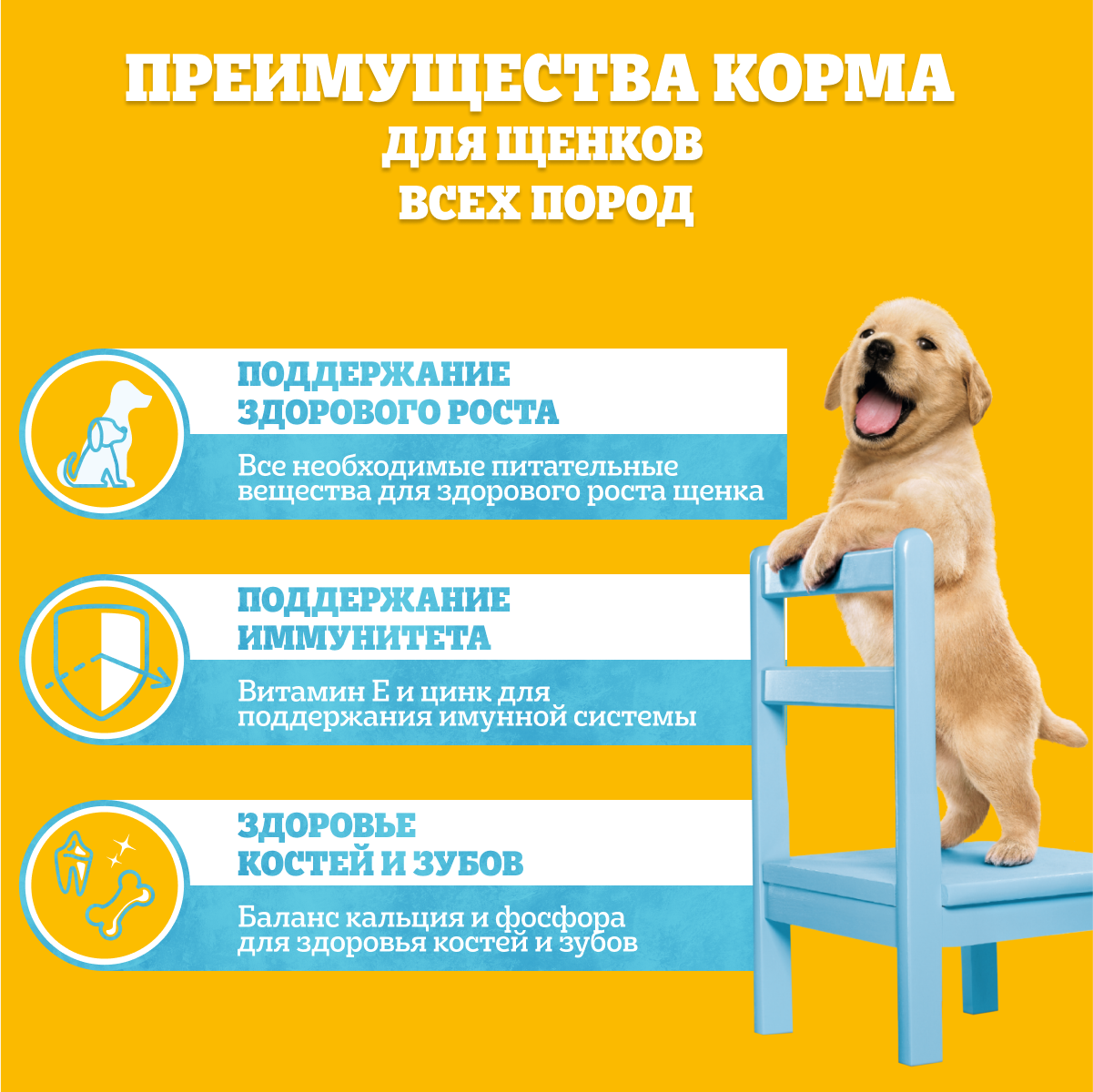

Влажный корм Pedigree для щенков говядина в соусе 85 г