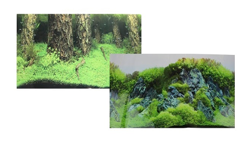 Фон для аквариума двухсторонний Затопленный лес/Камни с растениями 30 х 60 см.