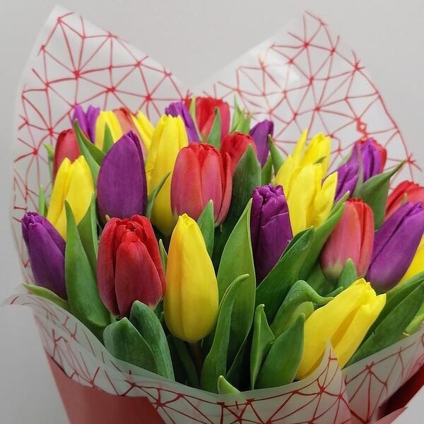 25 тюльпанов микс