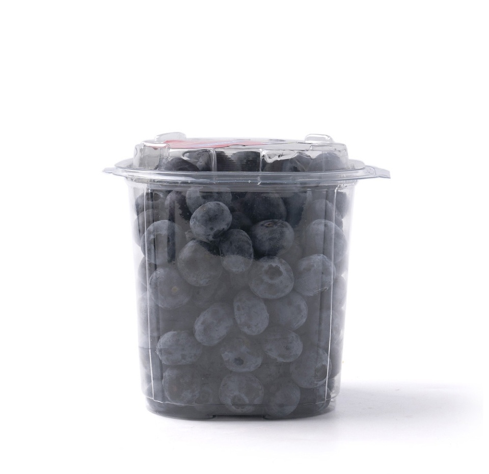 

Голубика Prime Fruit 500 г