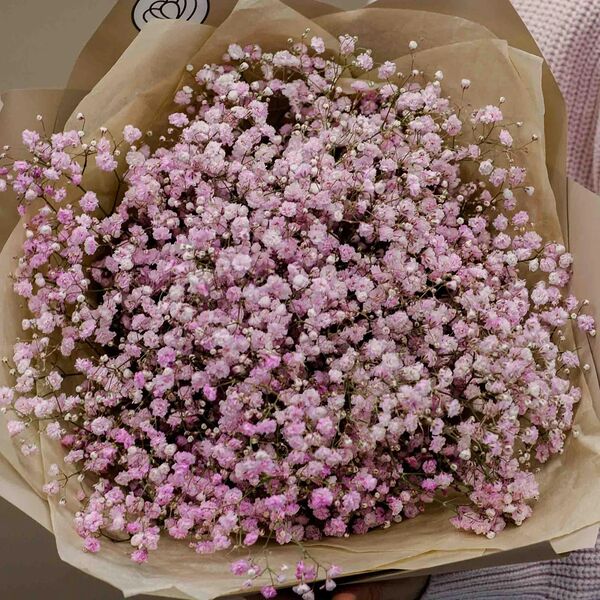 Букет из 7 розовых гипсофил в кремовой пленке