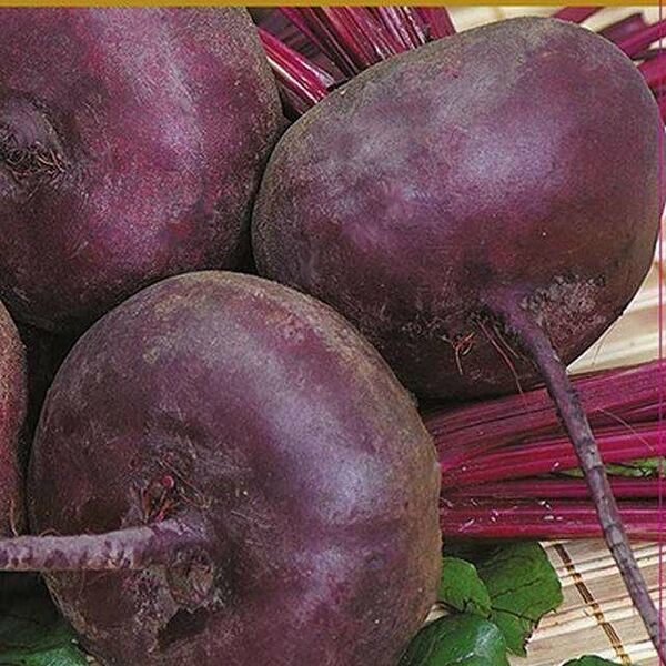 Семена Свекла столовая Смуглянка ТМ Поиск