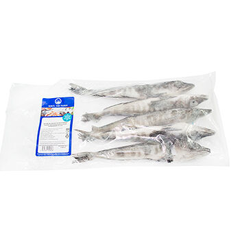 Ледяная рыба, замороженная