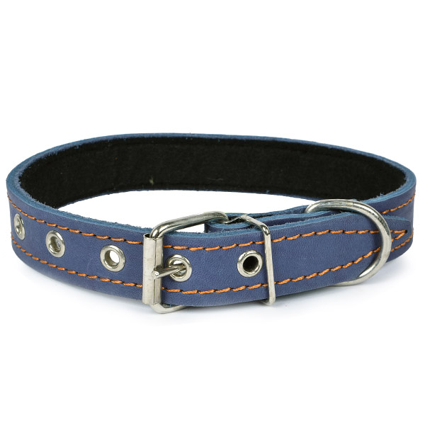 Ошейник для собак одинарный с украшением 25 см
